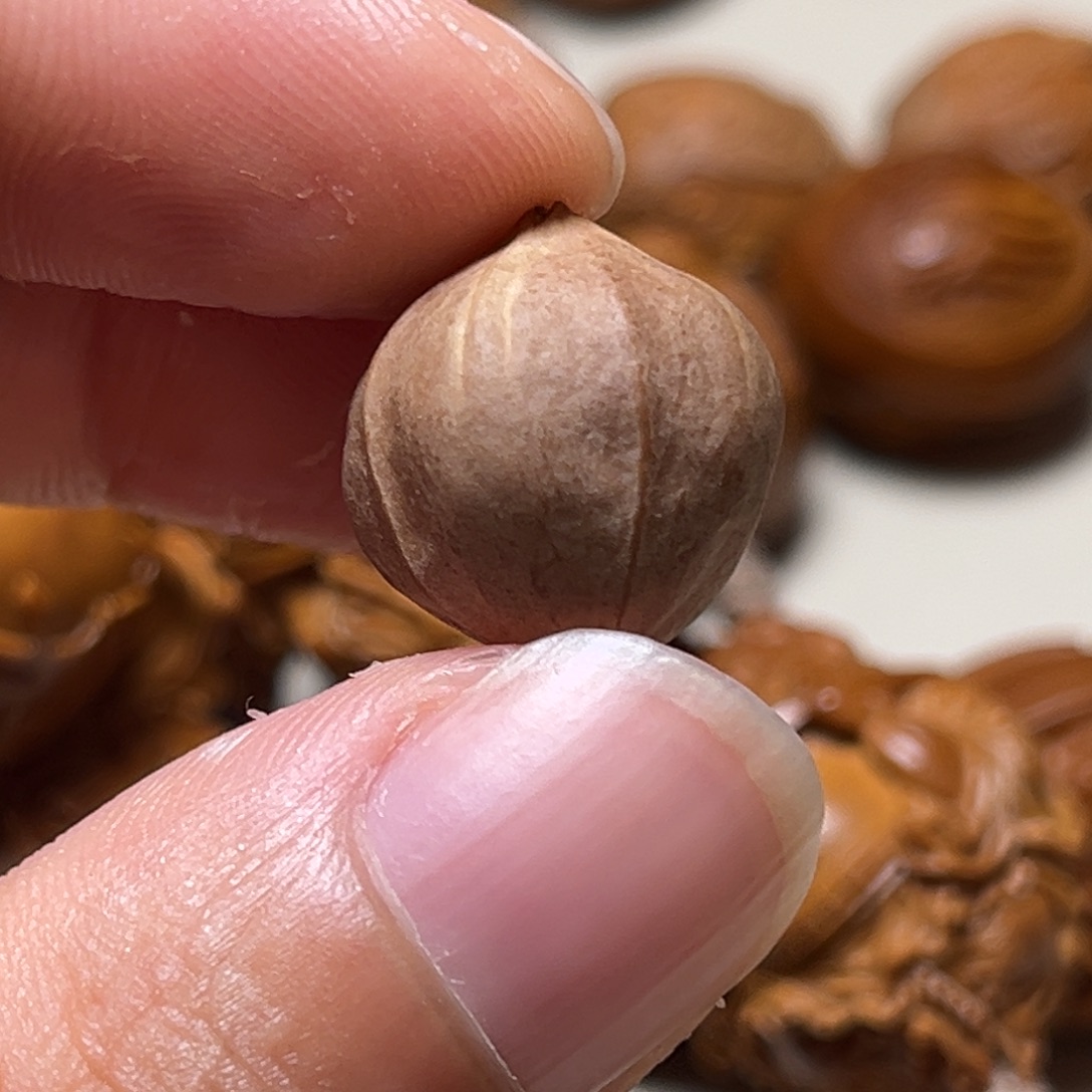 F***C橄榄核手串橄榄核