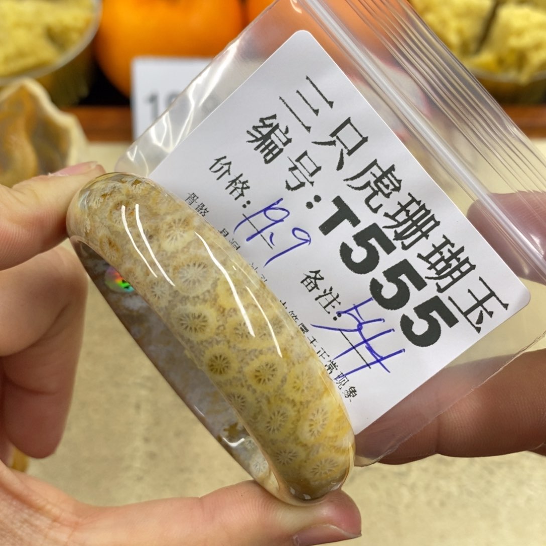 硅化珊瑚（珊瑚玉）1未镶嵌张****子