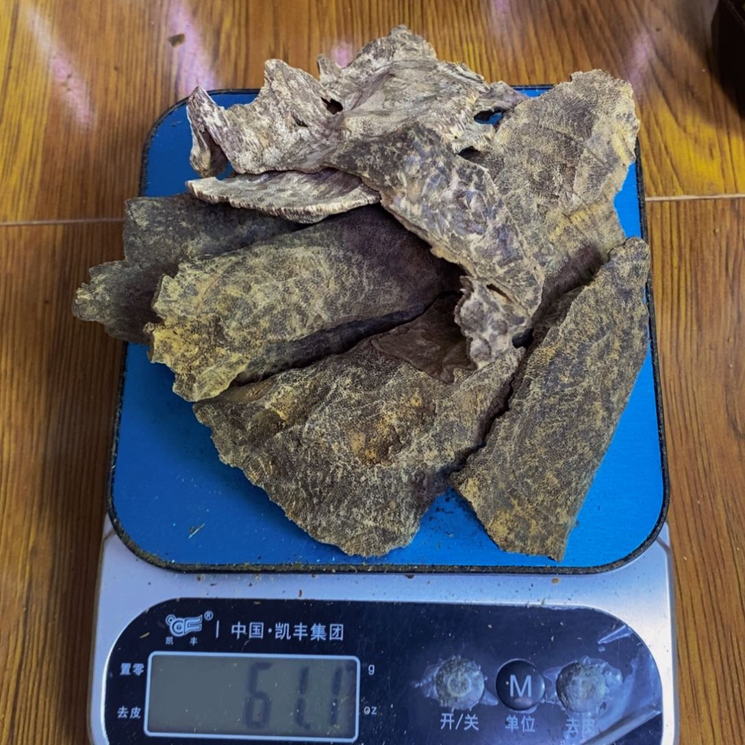 保***尔沉香沉香碎屑海南铁壳60克