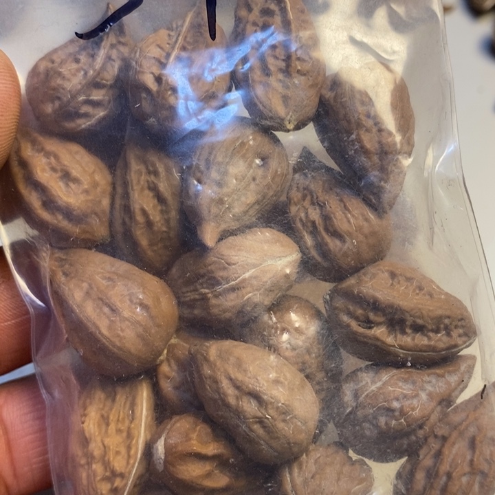 偏***执桃核吊坠东北特产34