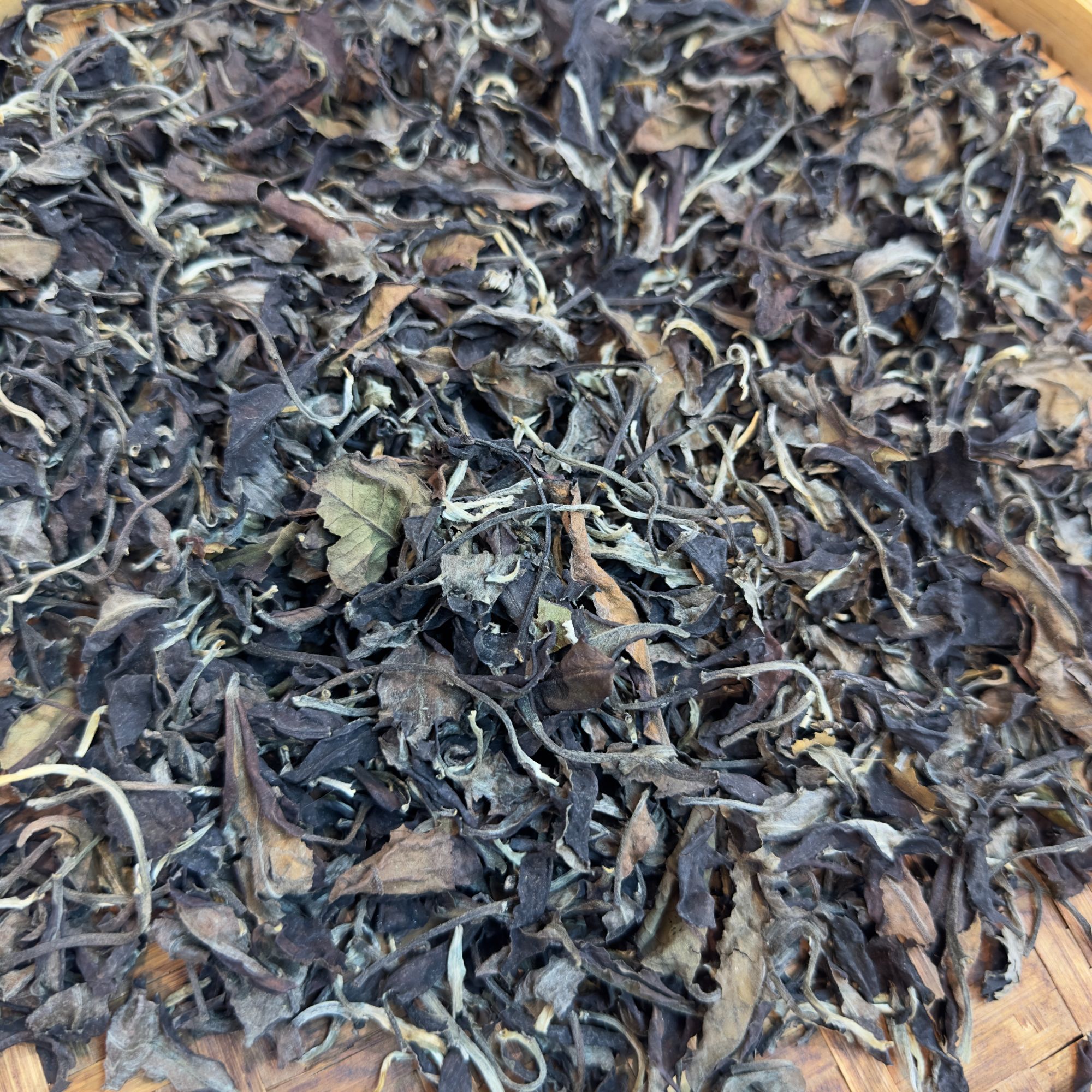 云南普洱白茶2025年薄荷糖白茶100克