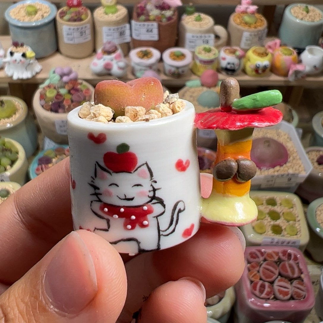 多肉植物85号拇指盆