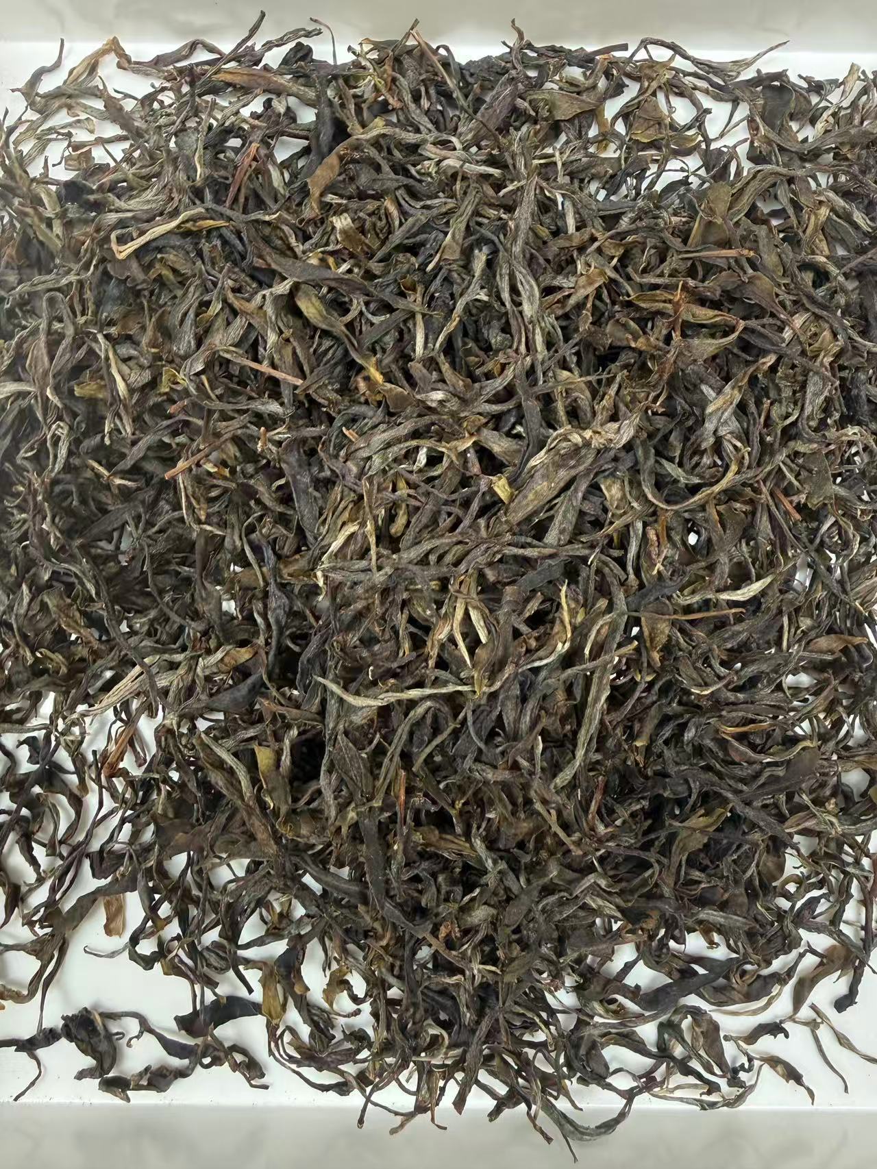 2025千家寨古树茶 普洱茶生茶 100克