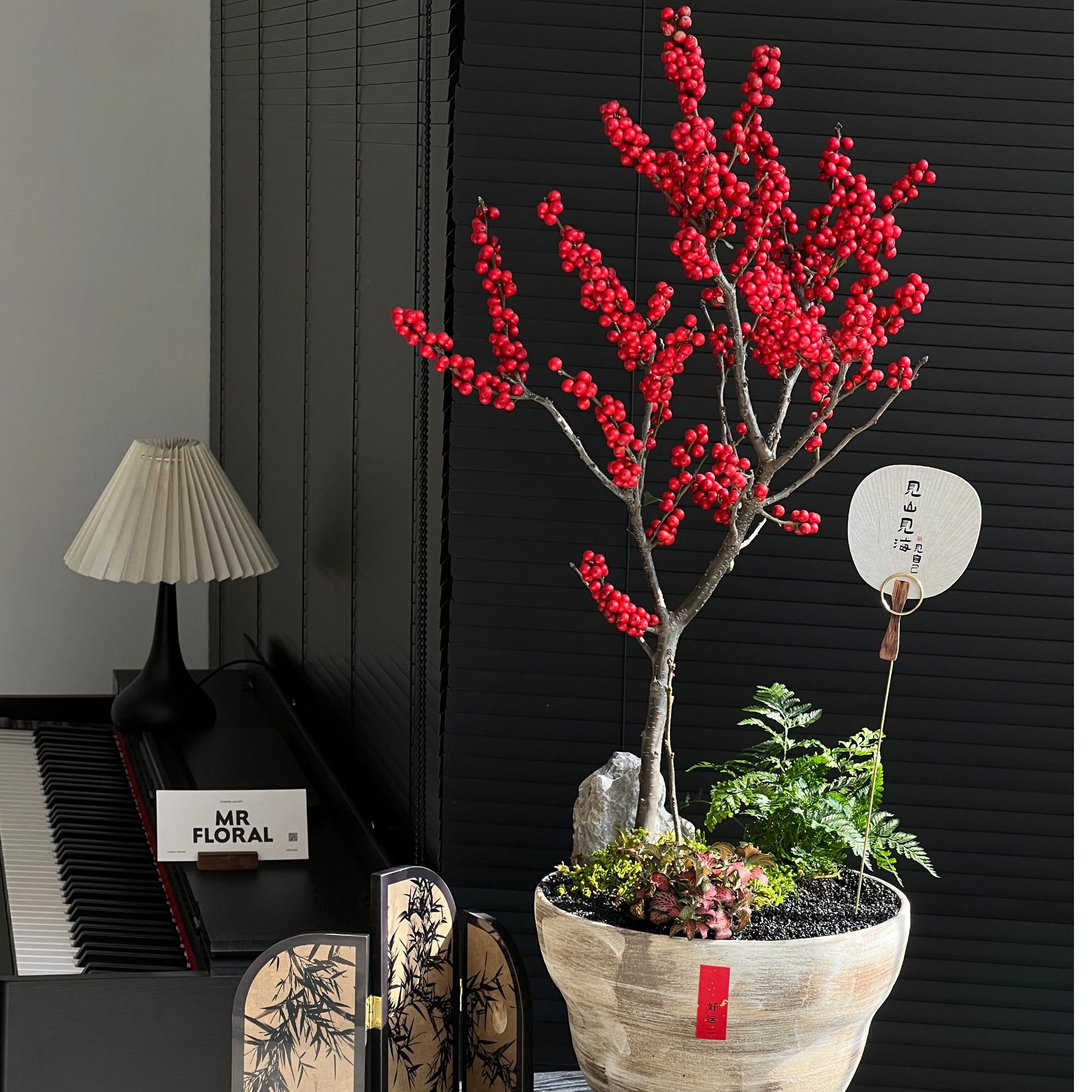 【精品北美冬青冬青盆景】花期长 耐寒耐热 云南冬青基地现采现发