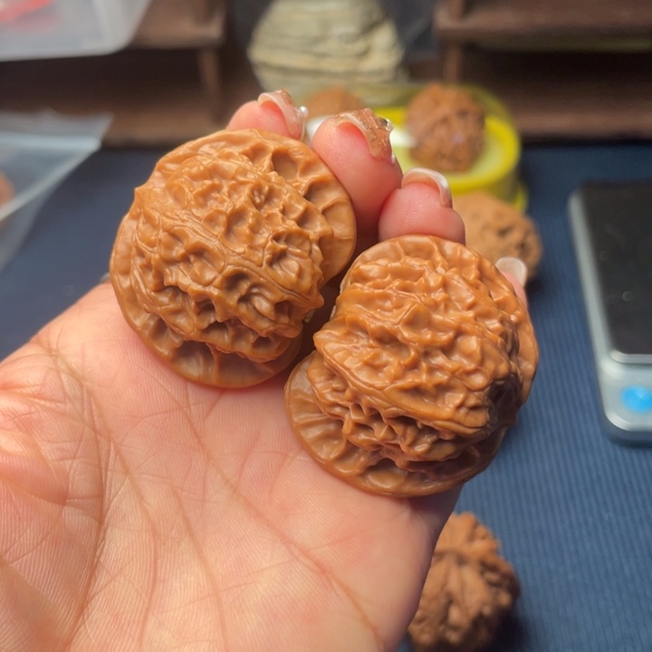 核桃40宫灯888888