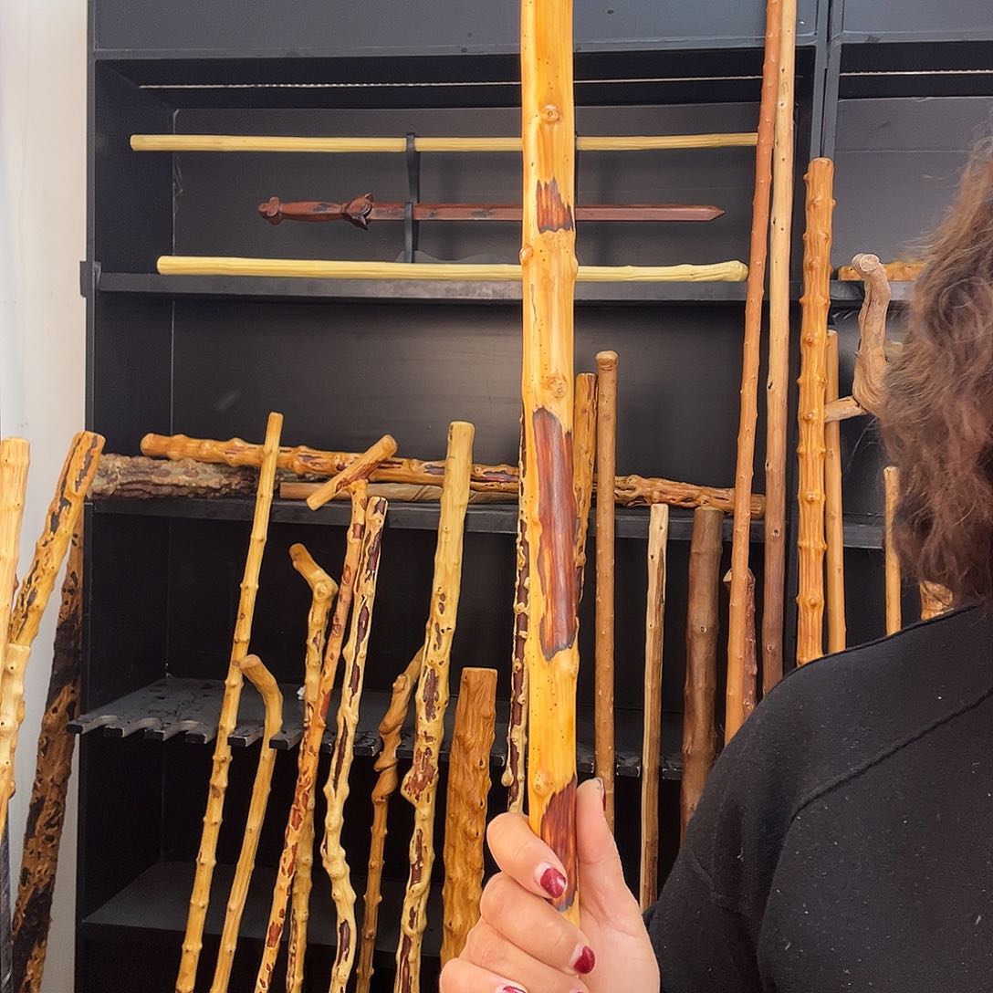 南对节南对节疤棍