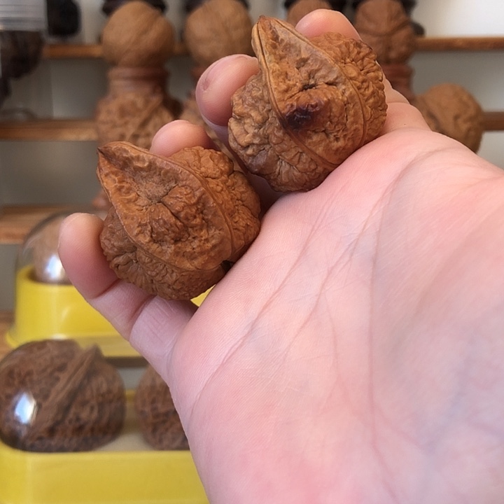 吊坠文玩核桃云南铁核桃