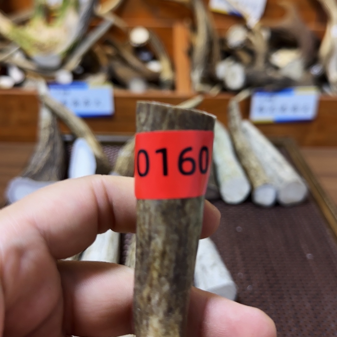 鹿骨手串/手链角尖0160