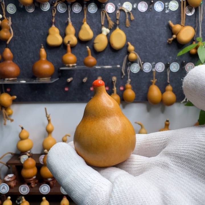 *****哈哈哈哈哈哈哈哈哈哈