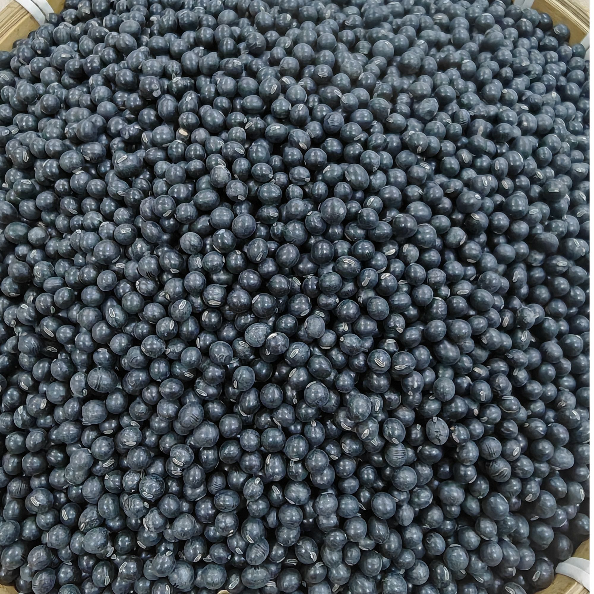 2025年沂蒙山农家黑豆自然晾晒（山东天气原因会发潮，介意勿拍）