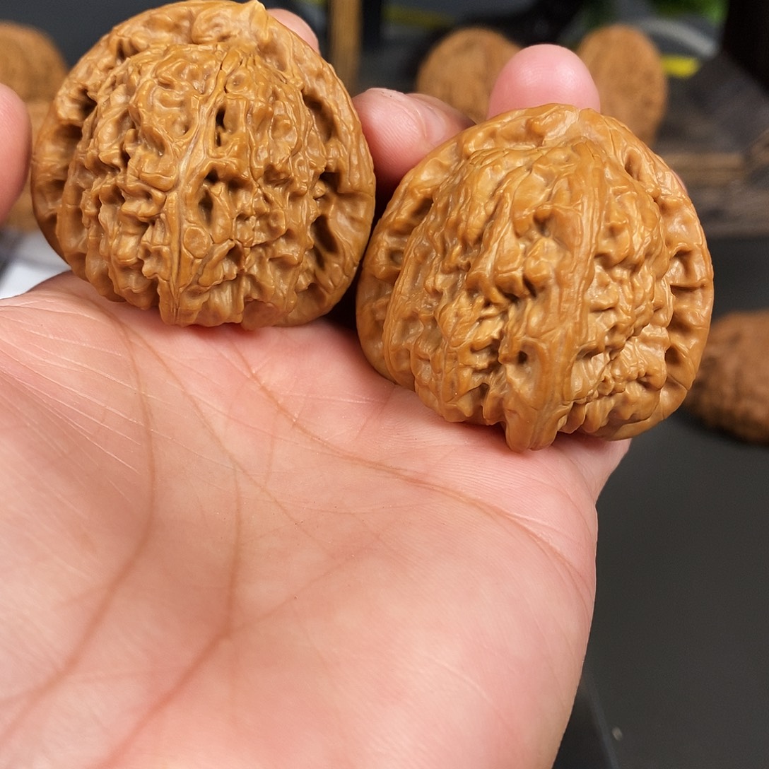 把件文玩核桃红皮老树白狮子骨质特棒