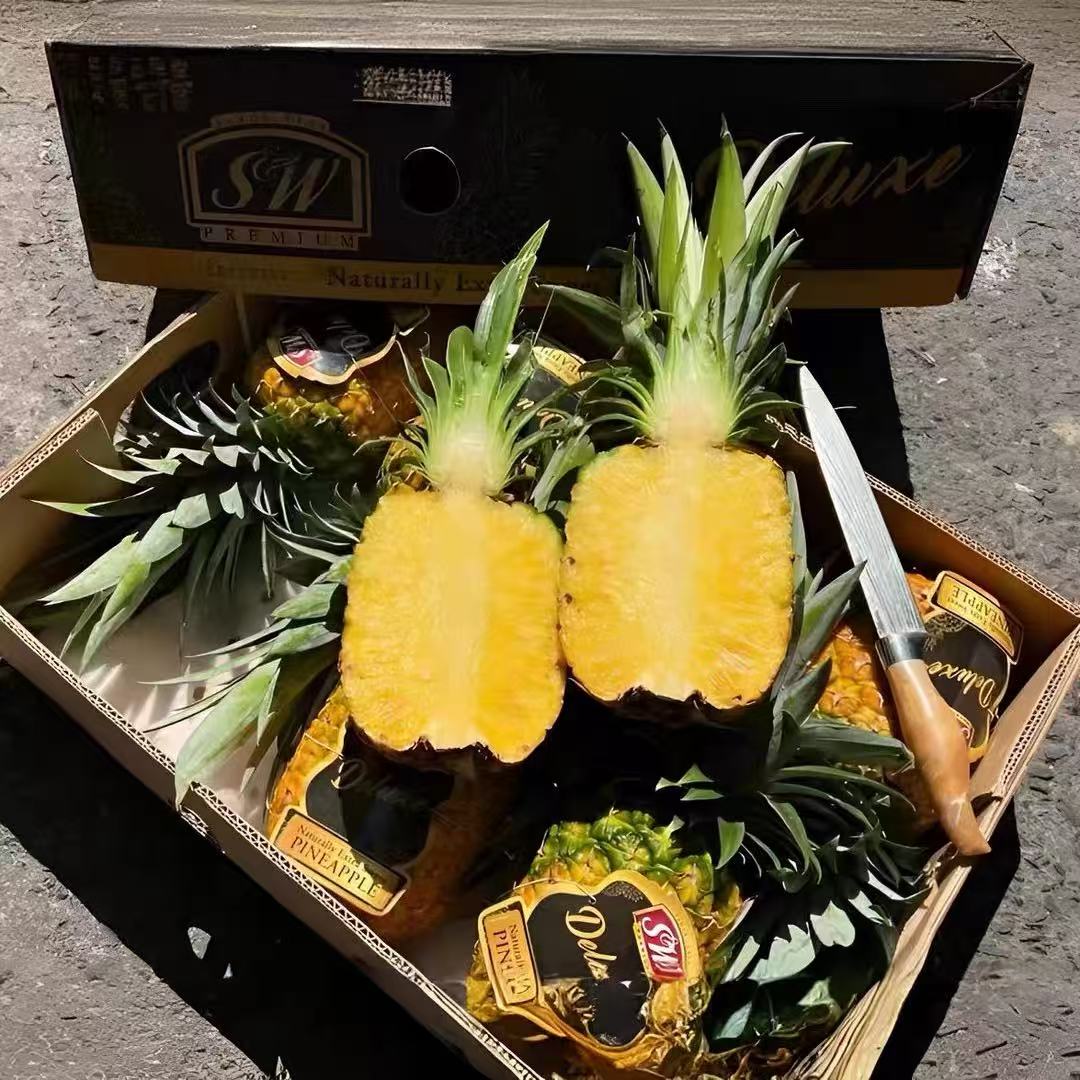 【京东顺丰包邮】SW蜂蜜黑钻凤梨菲律宾进口新鲜水果树上熟精选凤梨一个装黑钻凤梨山东省