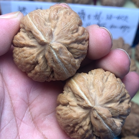 把件文玩核桃B**S41尺闷尖肉球霸王龙