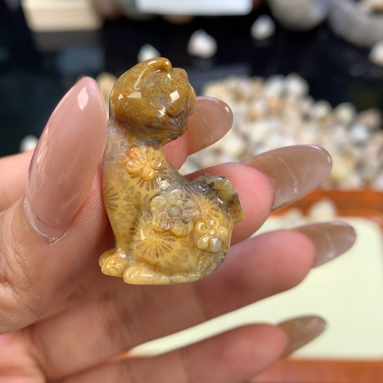 【闪购商品】颈饰未镶嵌硅化珊瑚（珊瑚玉）我***肉