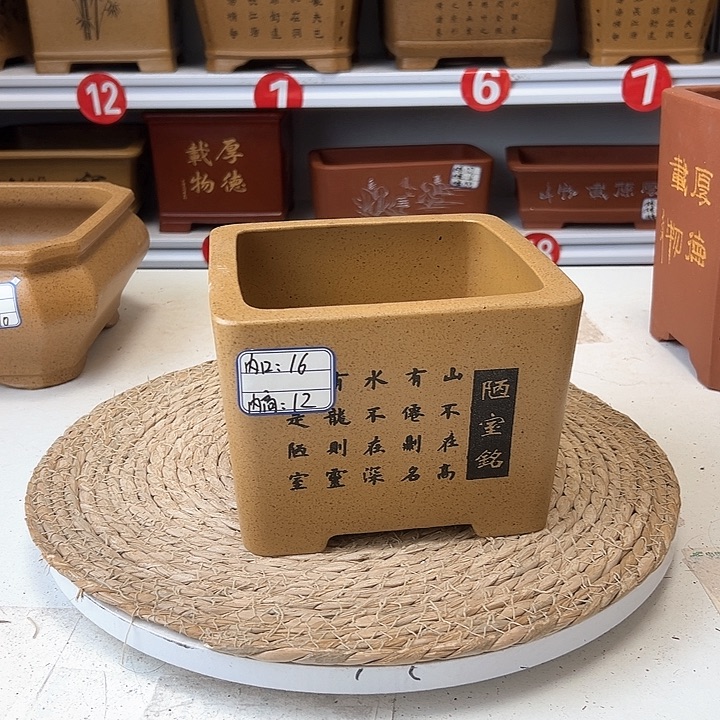 紫砂花盆蛇年大吉