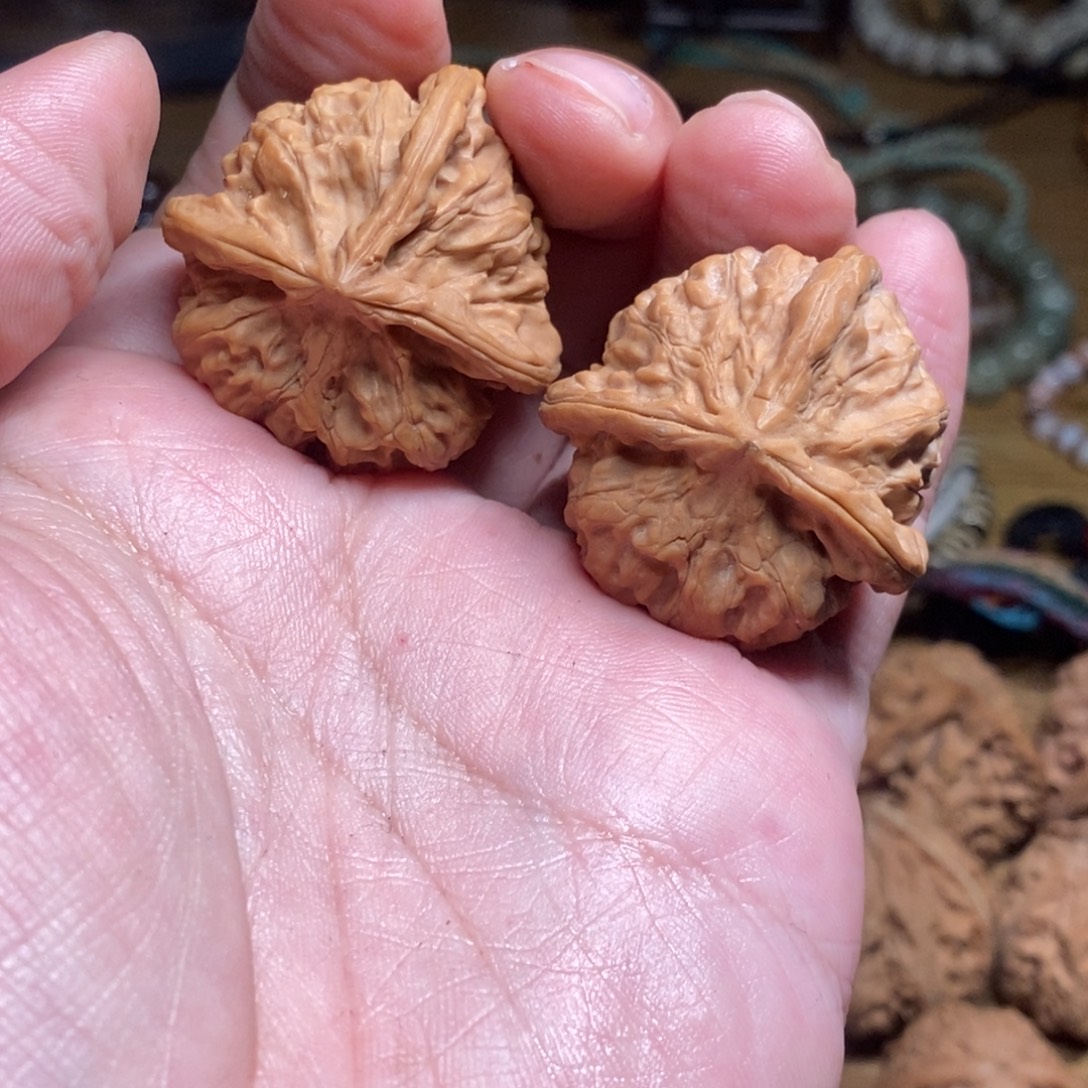 核桃手串/手链玉溪三棱