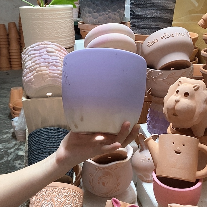 15×13紫色苹果盆 1个
