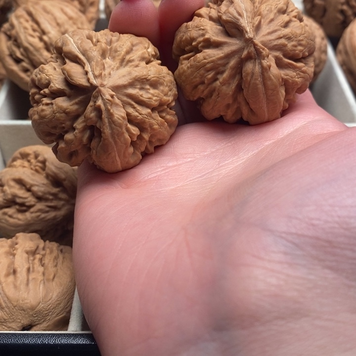 在***人文玩核桃吊坠霸王龙