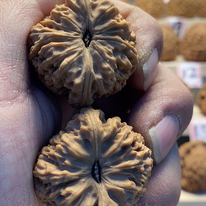 吊坠桃核涿鹿原产地老树一代南将石