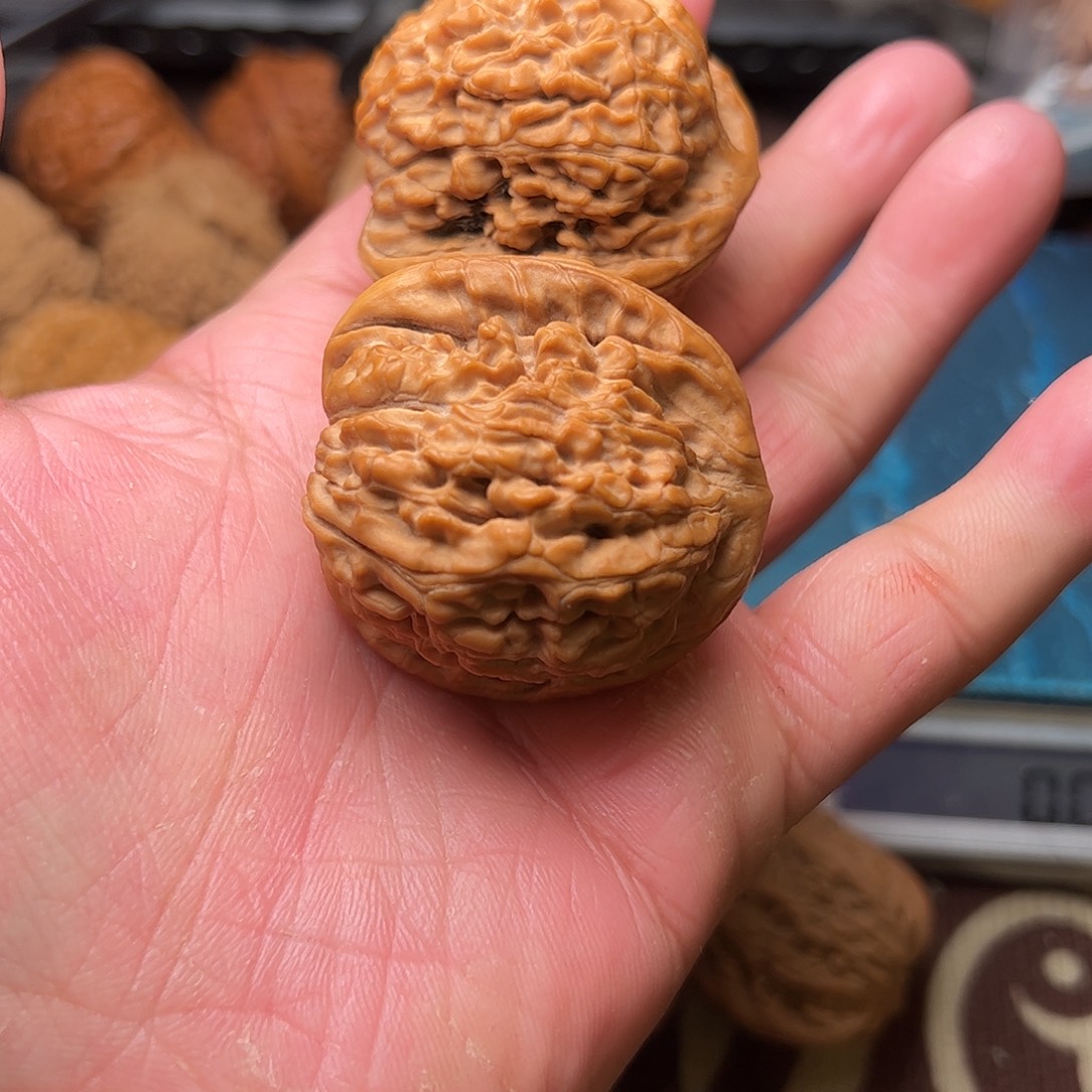 小***贝文玩核桃老树莲花