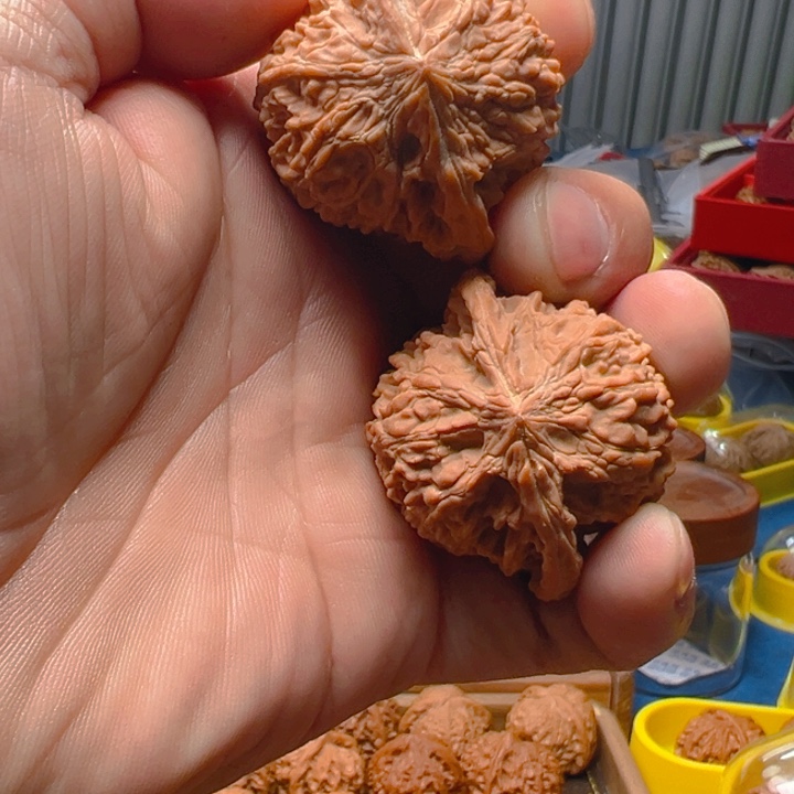 把件文玩核桃菜*饭全品满天星