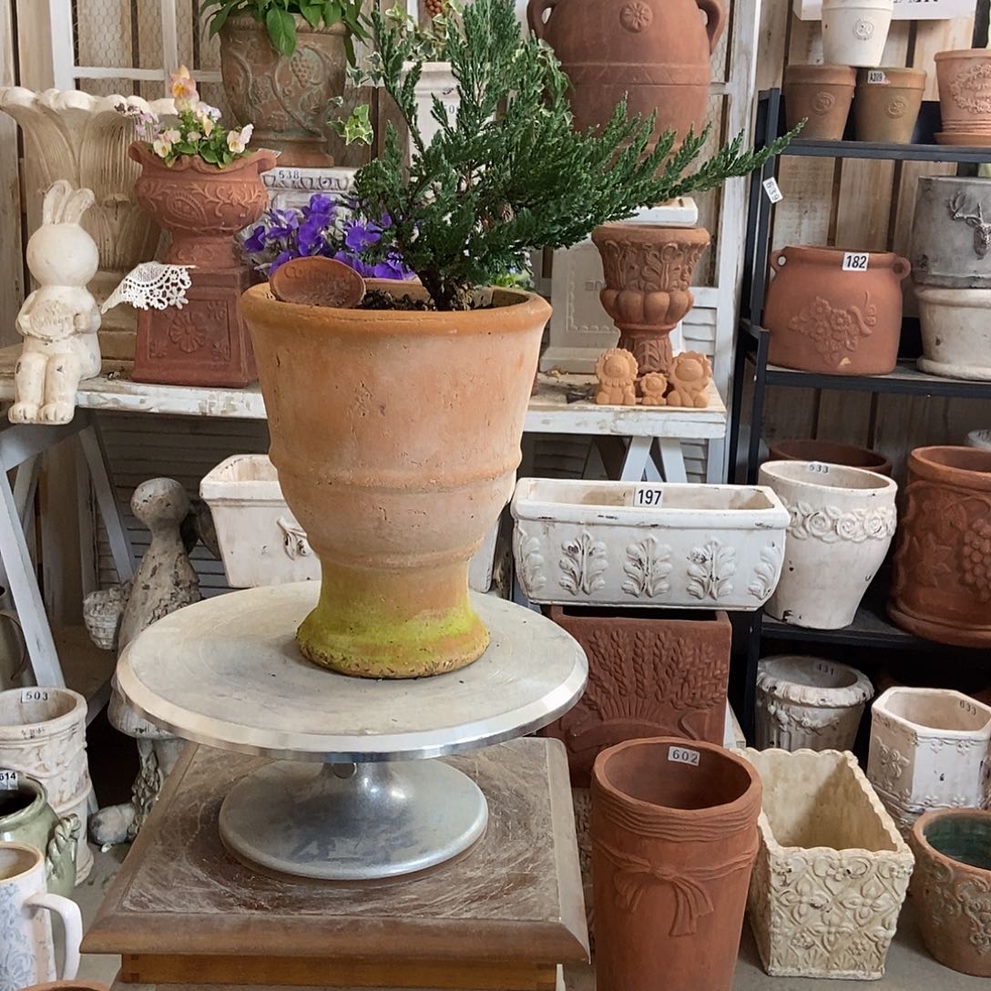 口19内16.5高23.5微硬裂特价