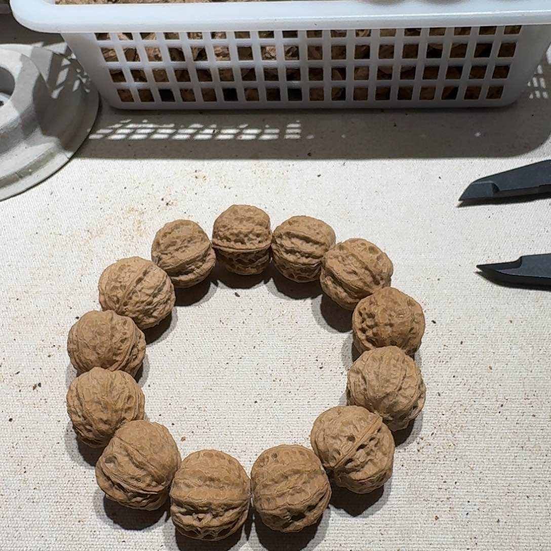 核桃手串/手链27号边24肚26高23