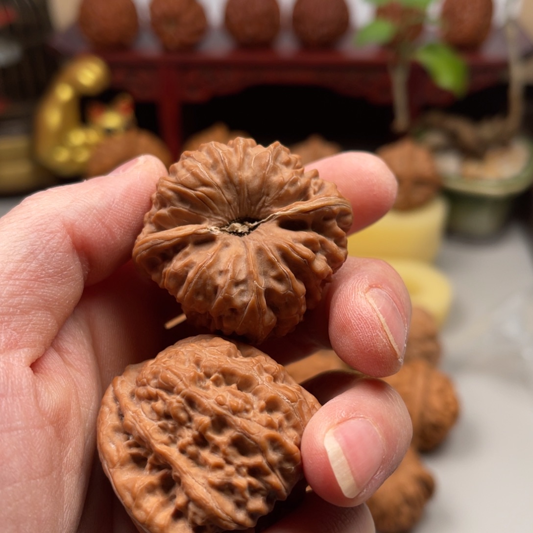 礼***天文玩核桃吊坠平谷凹底