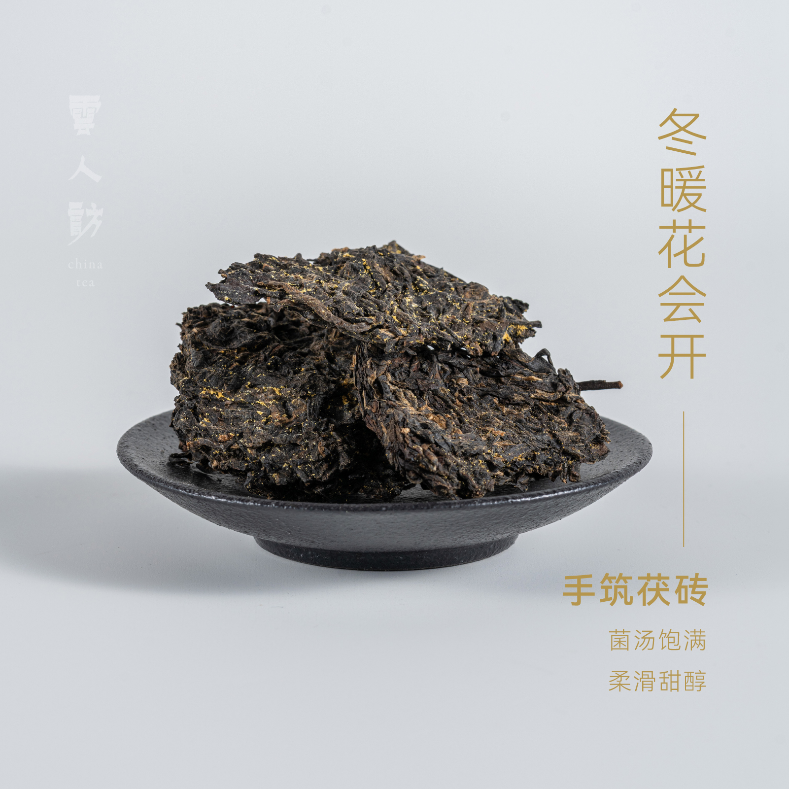【冬暖花会开】红茶茯茶 金花茯茶 云人访