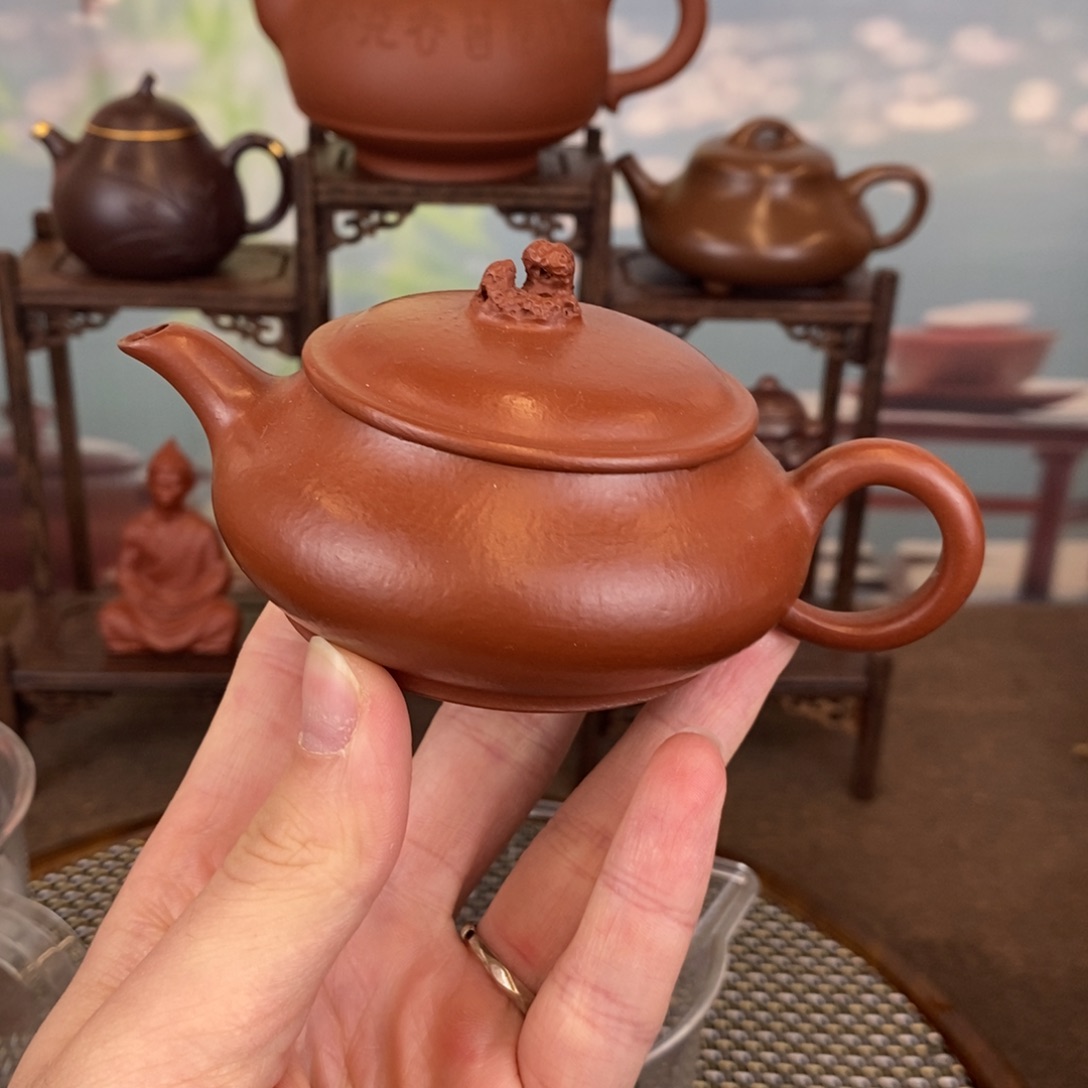 紫砂茶壶宜兴紫砂100