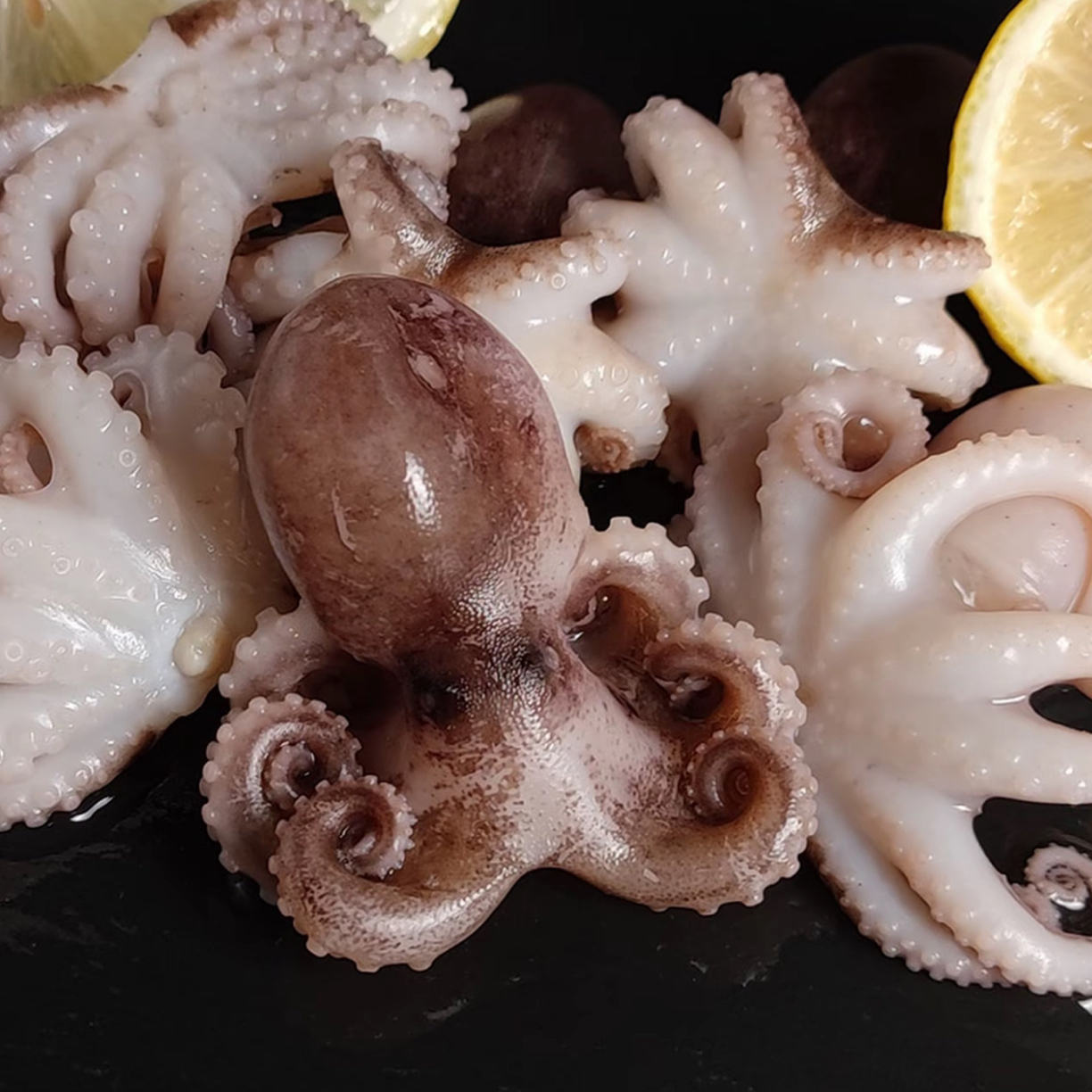 园园海鲜 连云港发货新鲜速冻小八爪鱼500g/包 15-20只/包到手4包