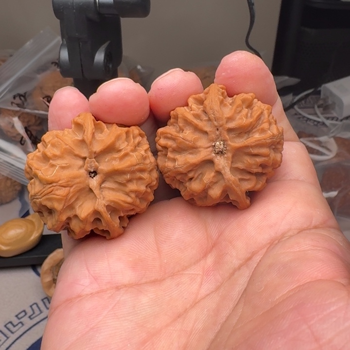 把件桃核山地苹果园39尺19