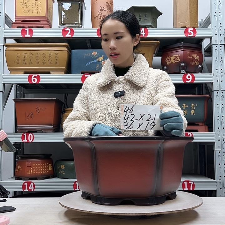 紫砂花盆紫砂花盆