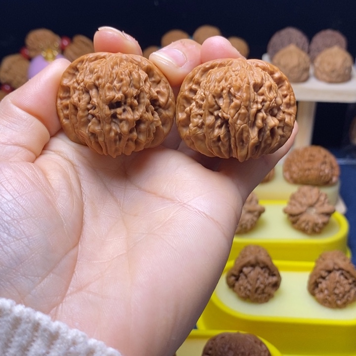 核桃41山地楼 6号车