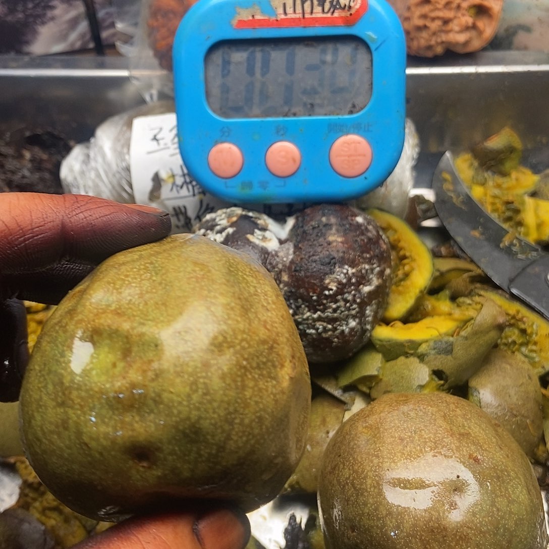 @***条感觉好爸爸个很好爸爸帮你