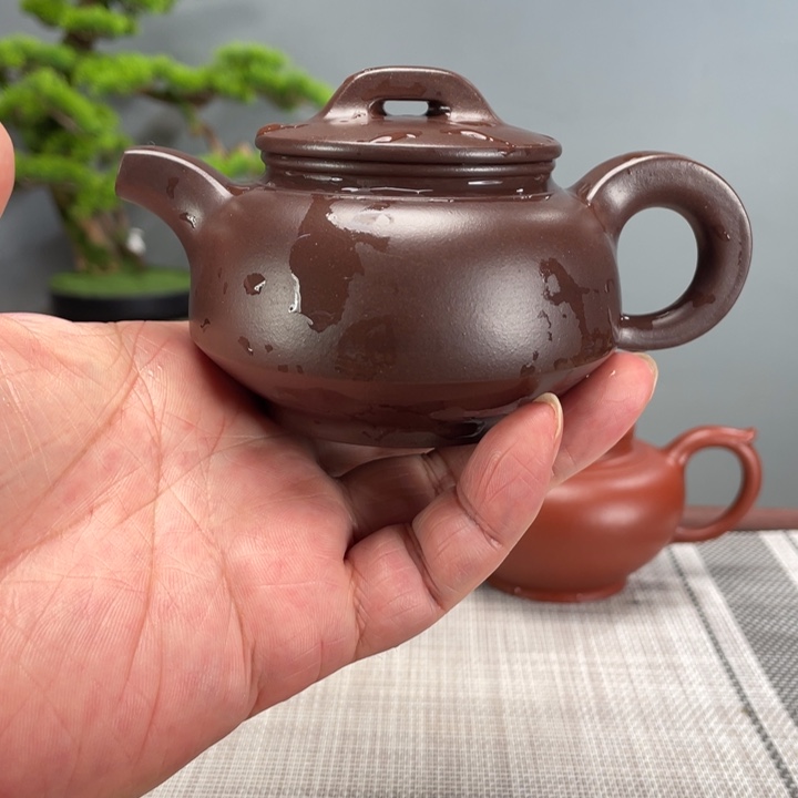施***全紫砂茶壶呼呼呼呼呼呼呼呼
