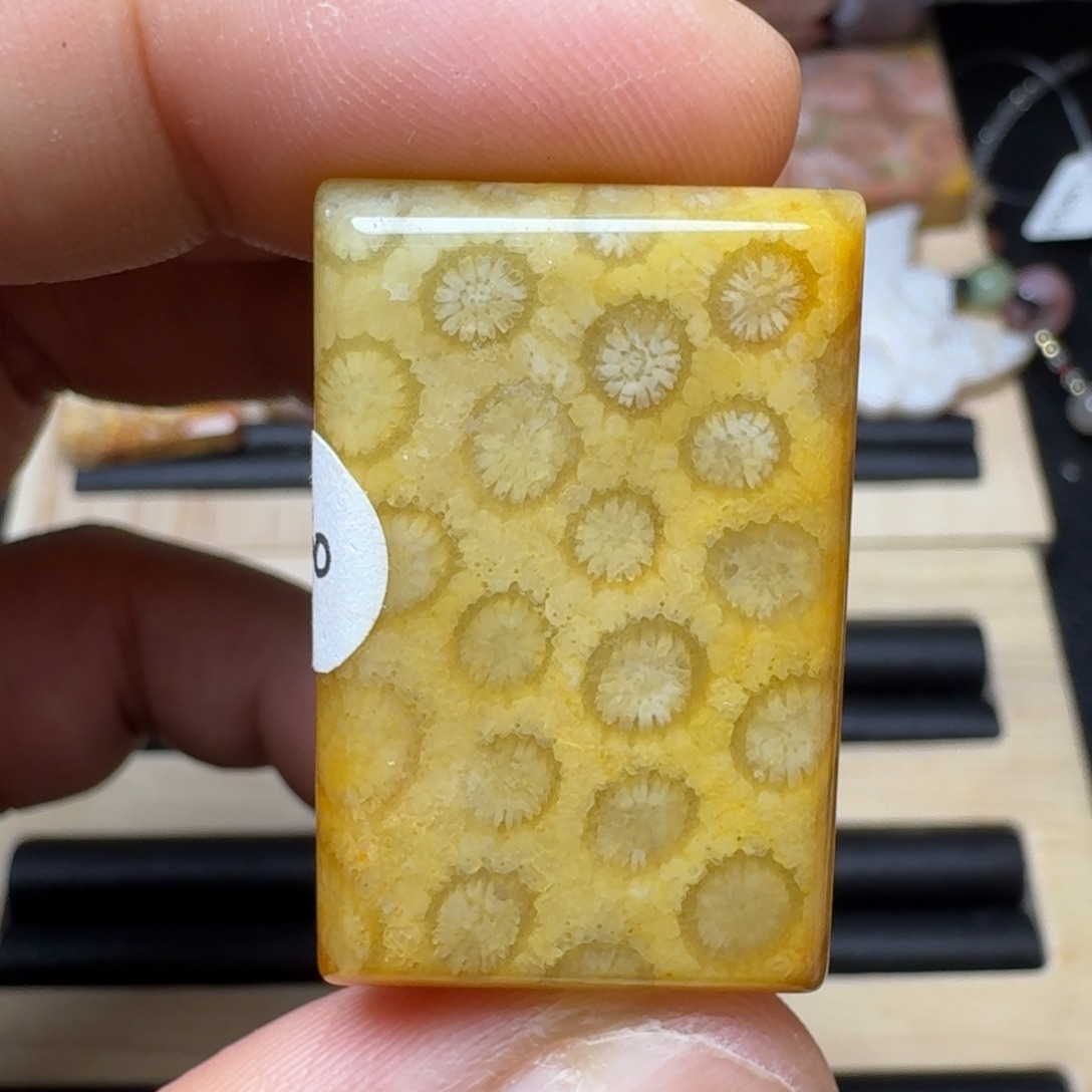 未镶嵌纯天然色有机玉石保真色硅化玉