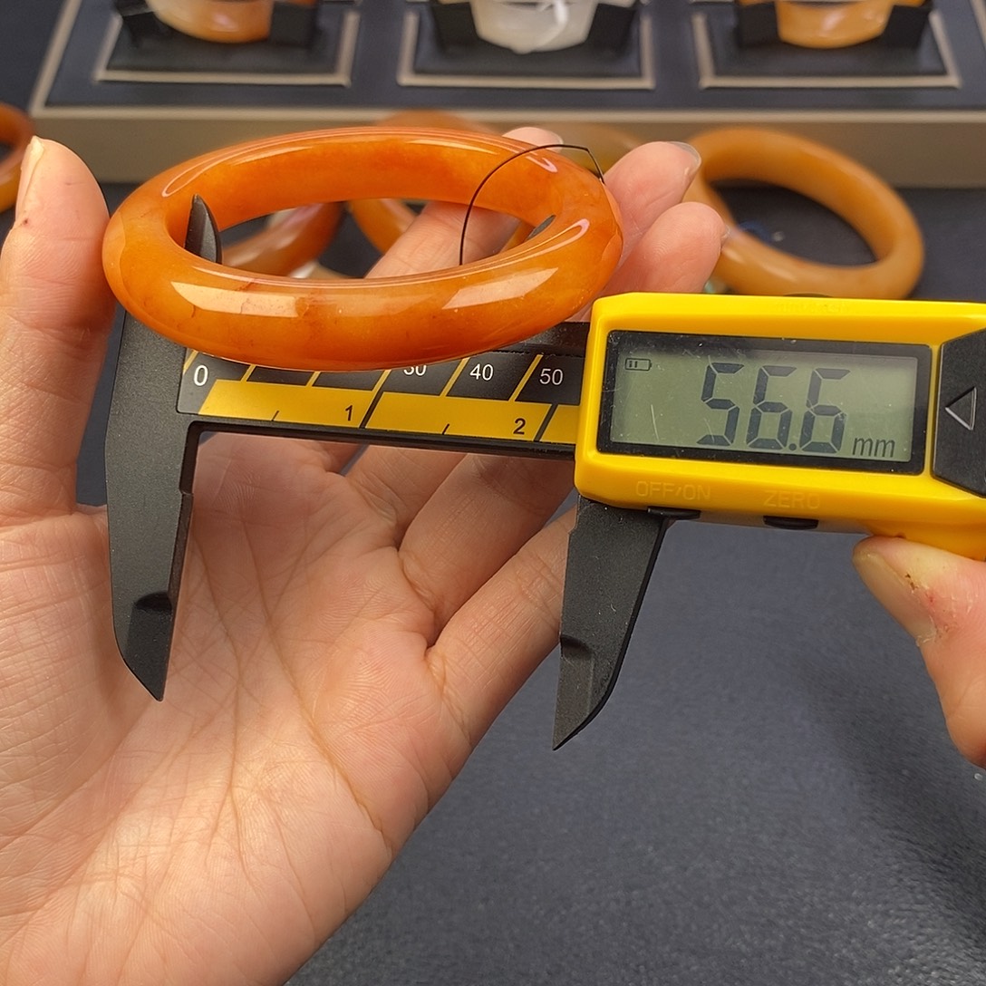 42号老油料泥鳅背