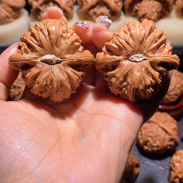 文玩核桃把件伟*46白狮子