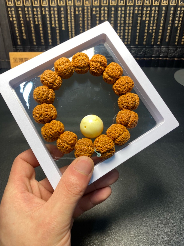 超头安娜终结者金刚菩提：5号