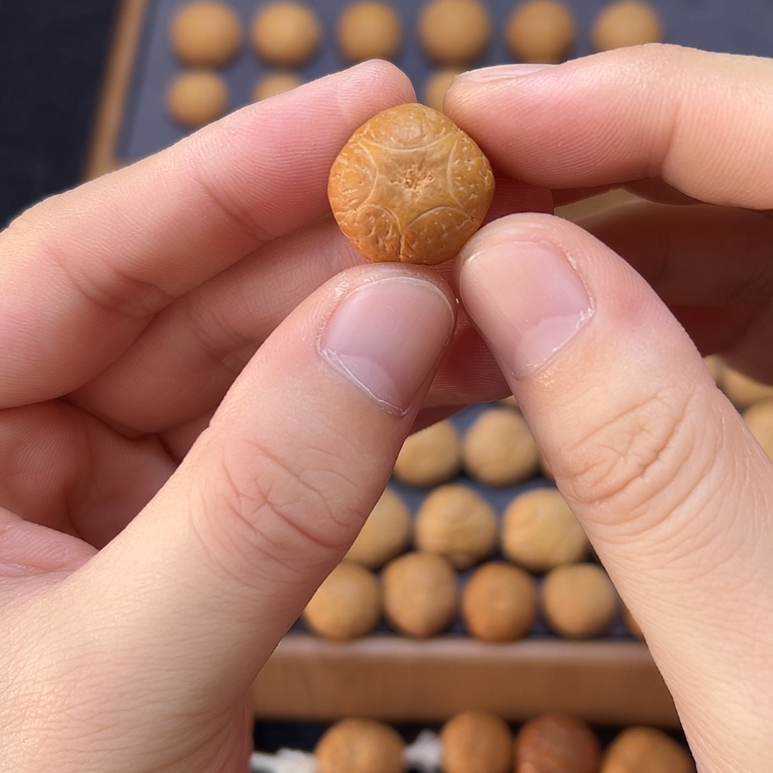 手串凤眼菩提19.2五星上将