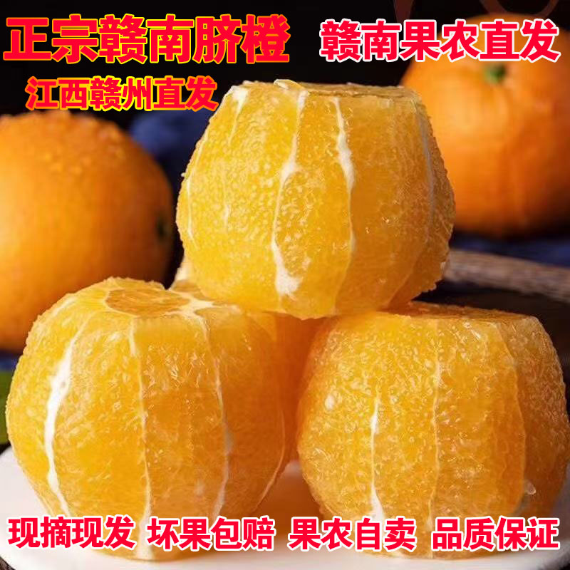 正宗赣南脐橙新鲜采摘鲜嫩脆爽汁液丰富皮薄易剥美味橙子孕妇水果