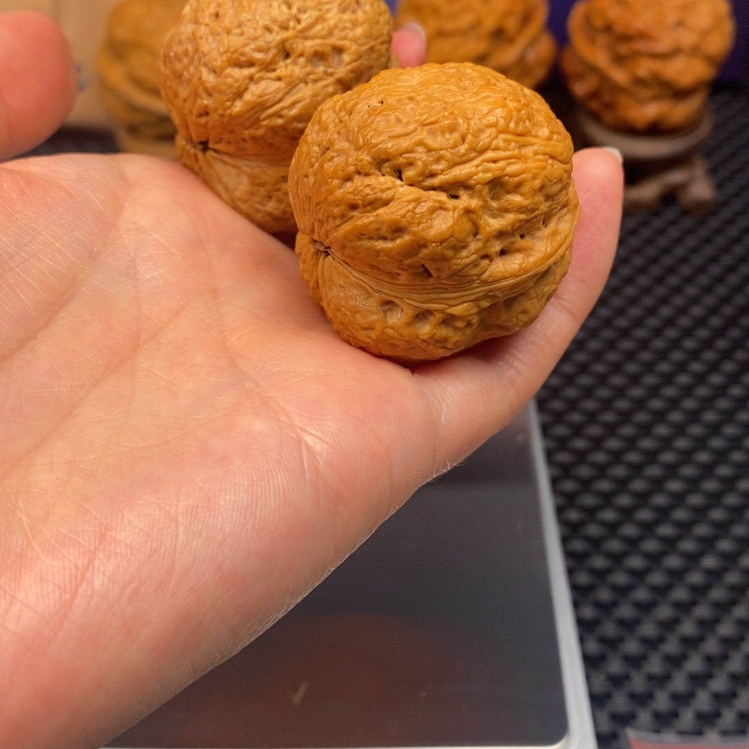 把件文玩核桃卧龙金蟾38