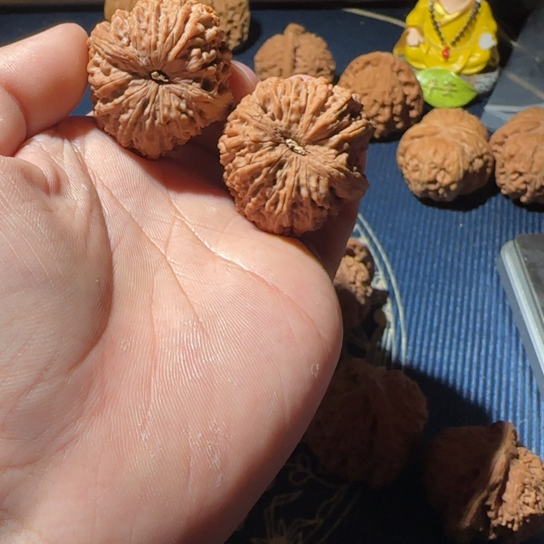 缘*大蒜哈哈哈哈哈哈哈