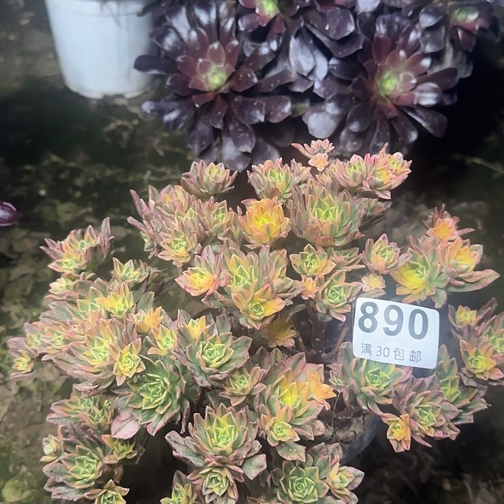 890。                 