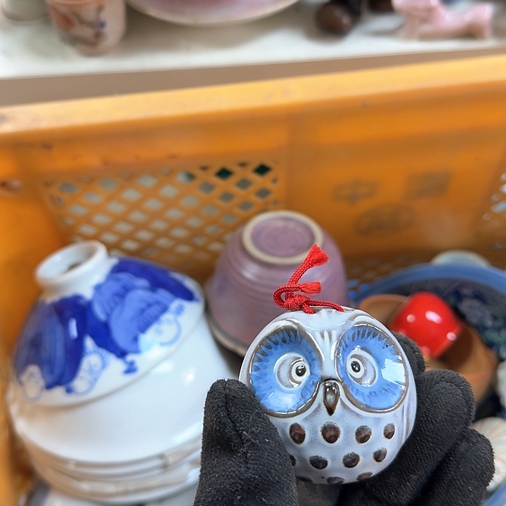 碟开播啦…开播啦