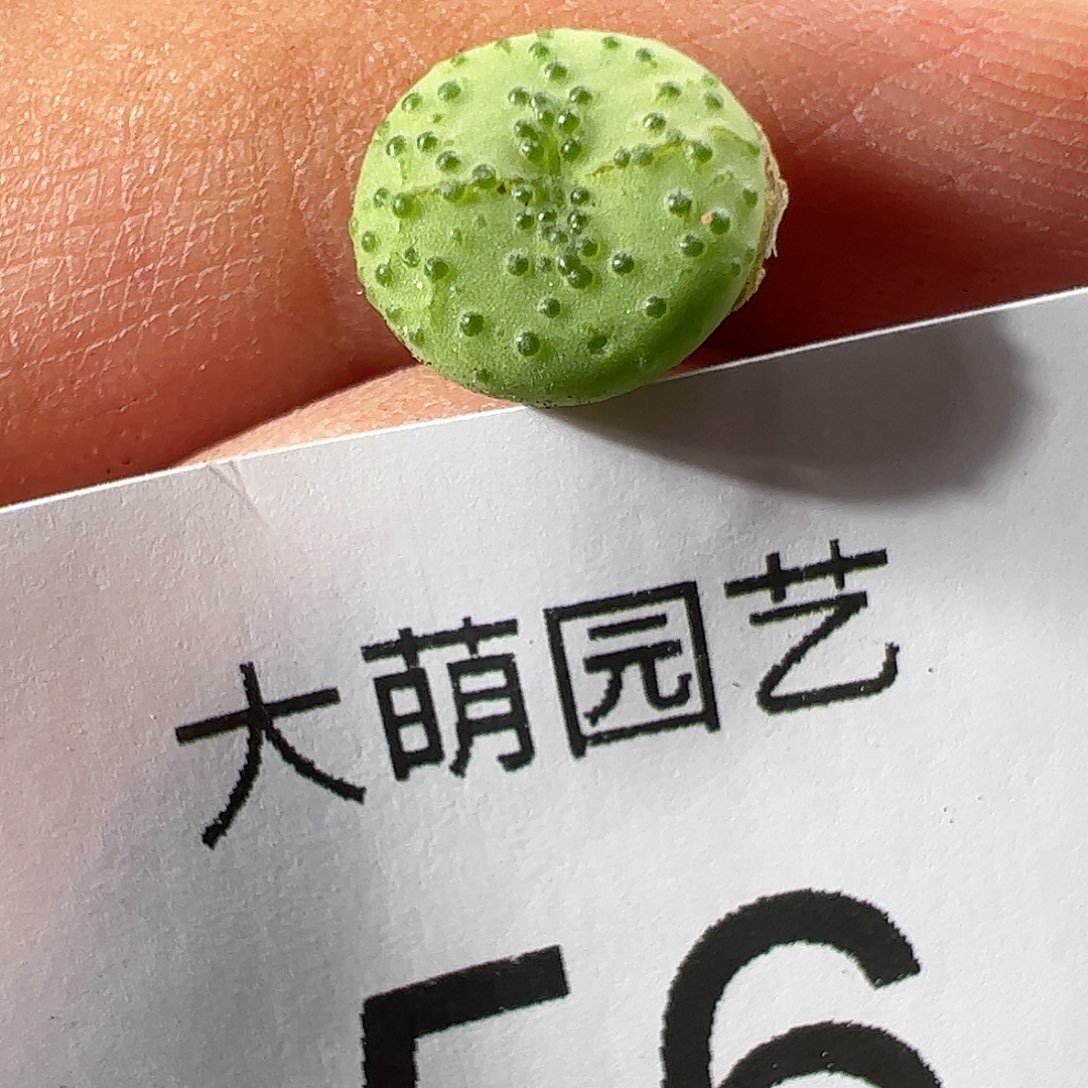 000056 一物一拍……