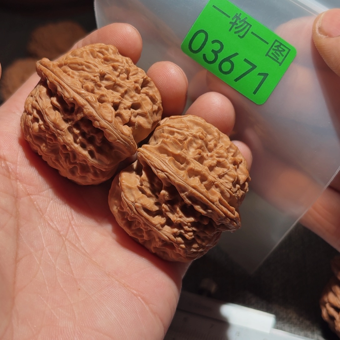文玩核桃把件白狮子