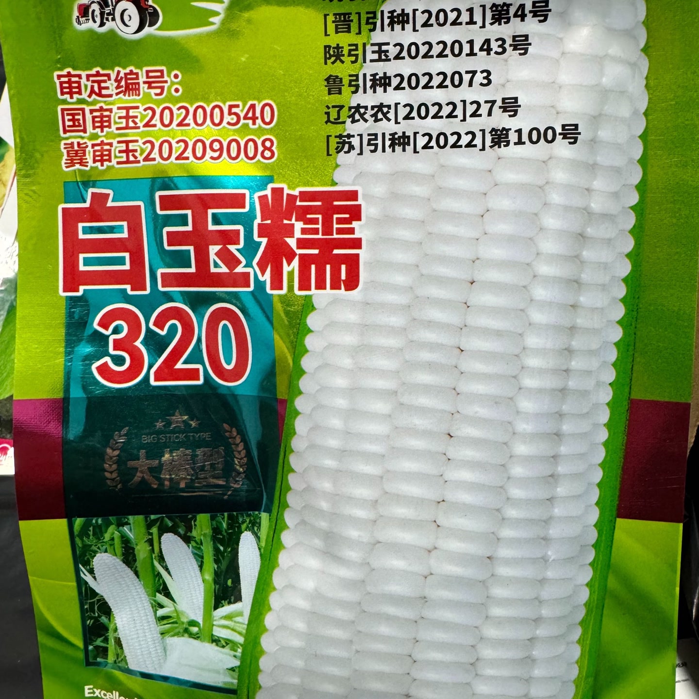 jj白玉糯302玉米籽今年新种今年新种