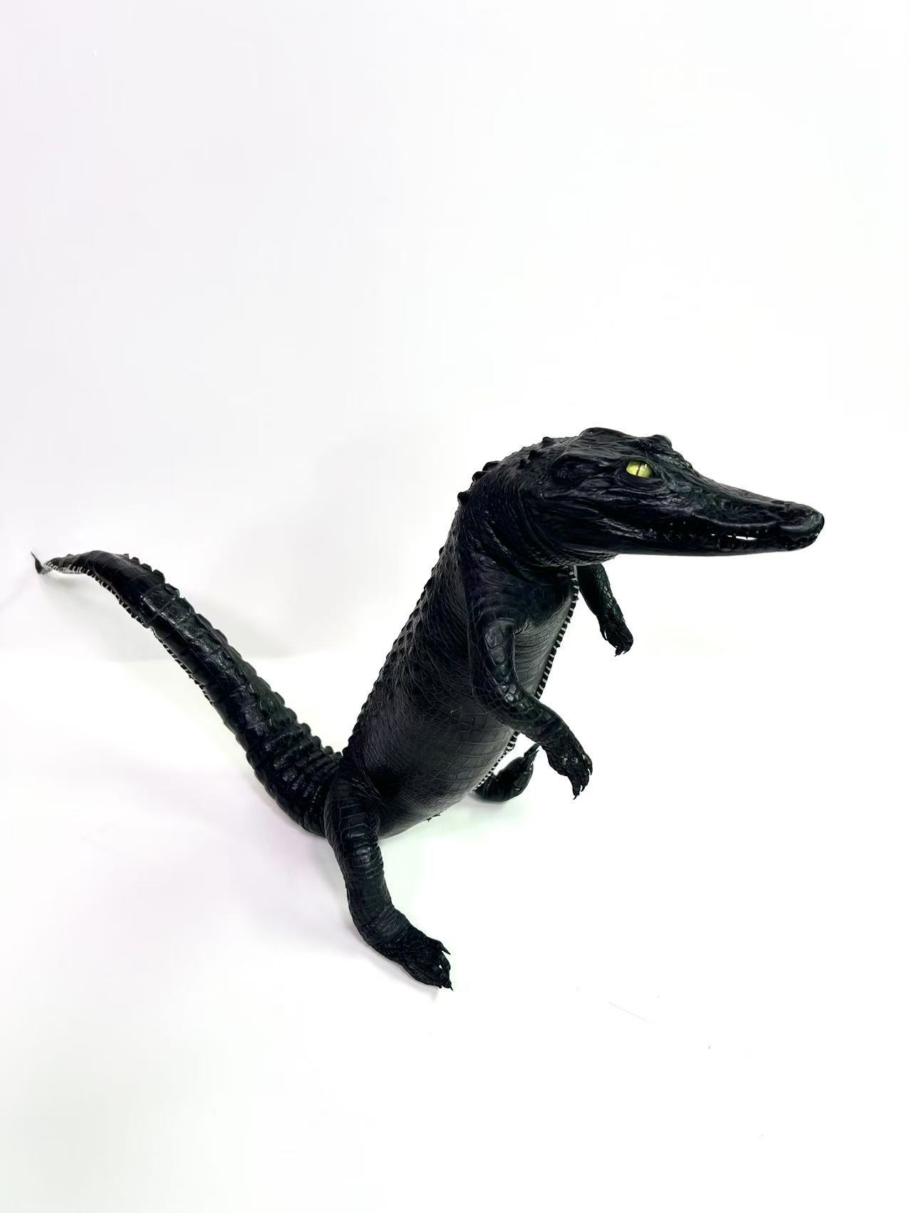 M-   微瑕迷你凯凯（无链条）                                   